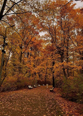 Season