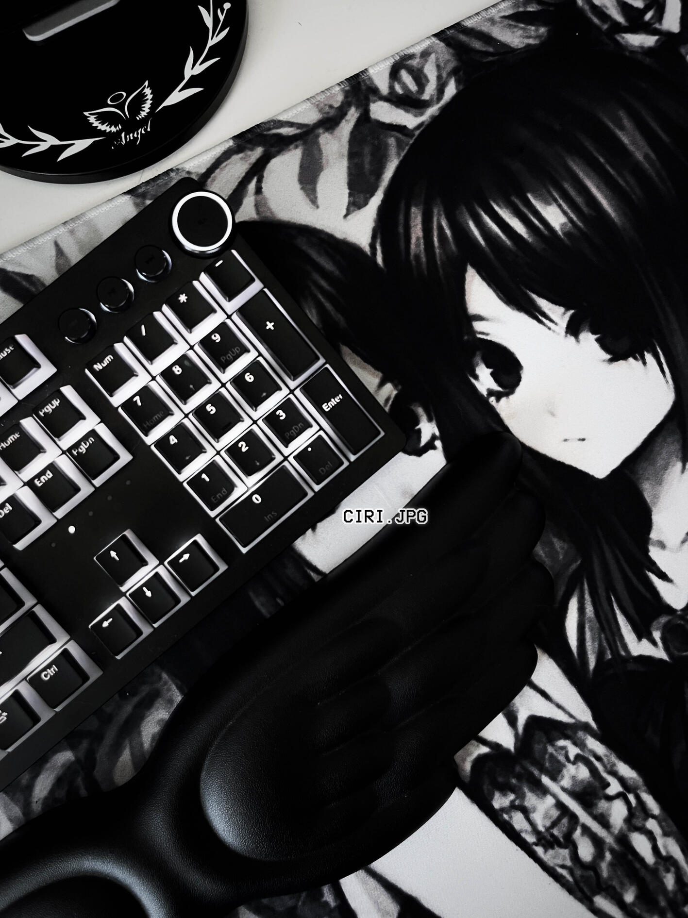 ciri.jpg monochrome pc setup